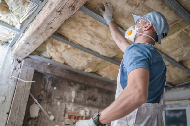 Reliable Level Park Oak Park, MI Insulation Contractor Solutions