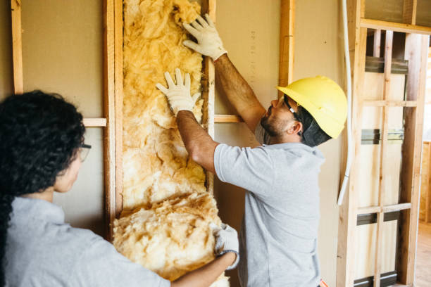 Best Insulation Repair Services  in Level Park Oak Park, MI
