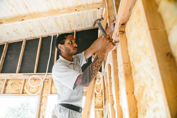 Best Cellulose Insulation  in Level Park Oak Park, MI